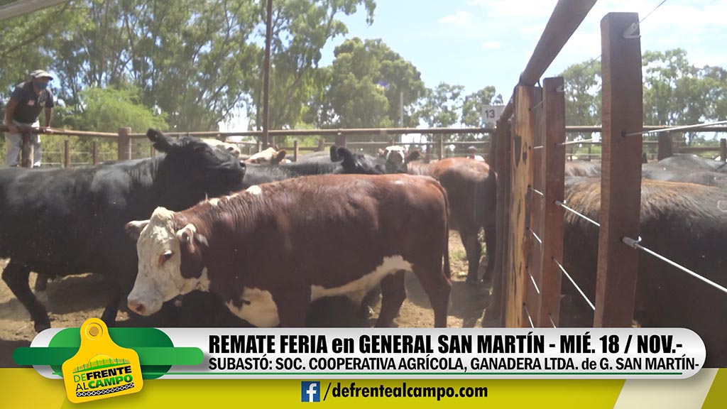 Cooperativa de General San Martín: Subasta en el sur pampeano