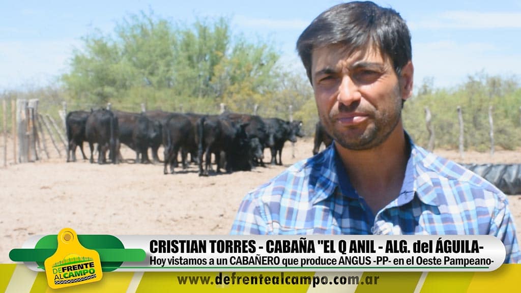Entrevista: Cristian Torres de Cabaña «El Q Anil»
