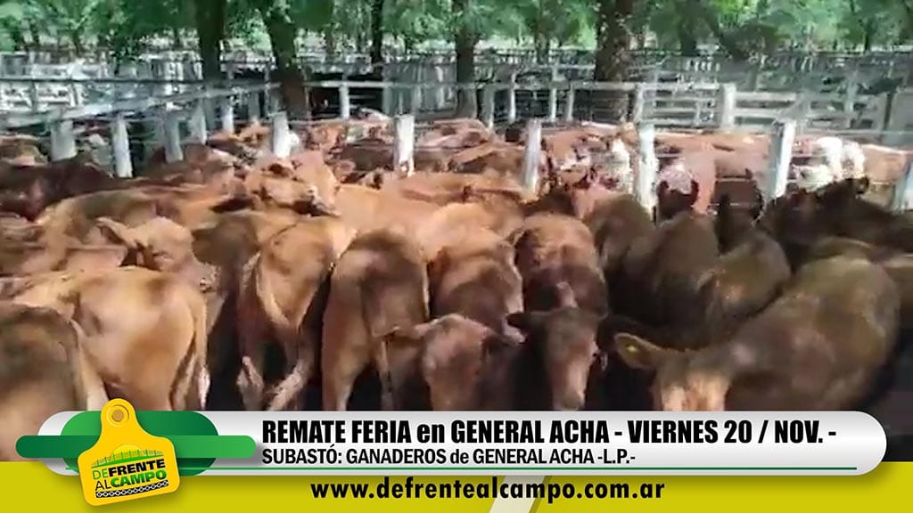 Ganaderos de General Acha: Remate Feria en General Acha – Viernes 20/Noviembre.