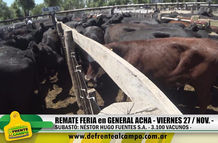 Néstor H. Fuentes S.A.: Remate Feria en General Acha – Vie. 27 / Nov. –
