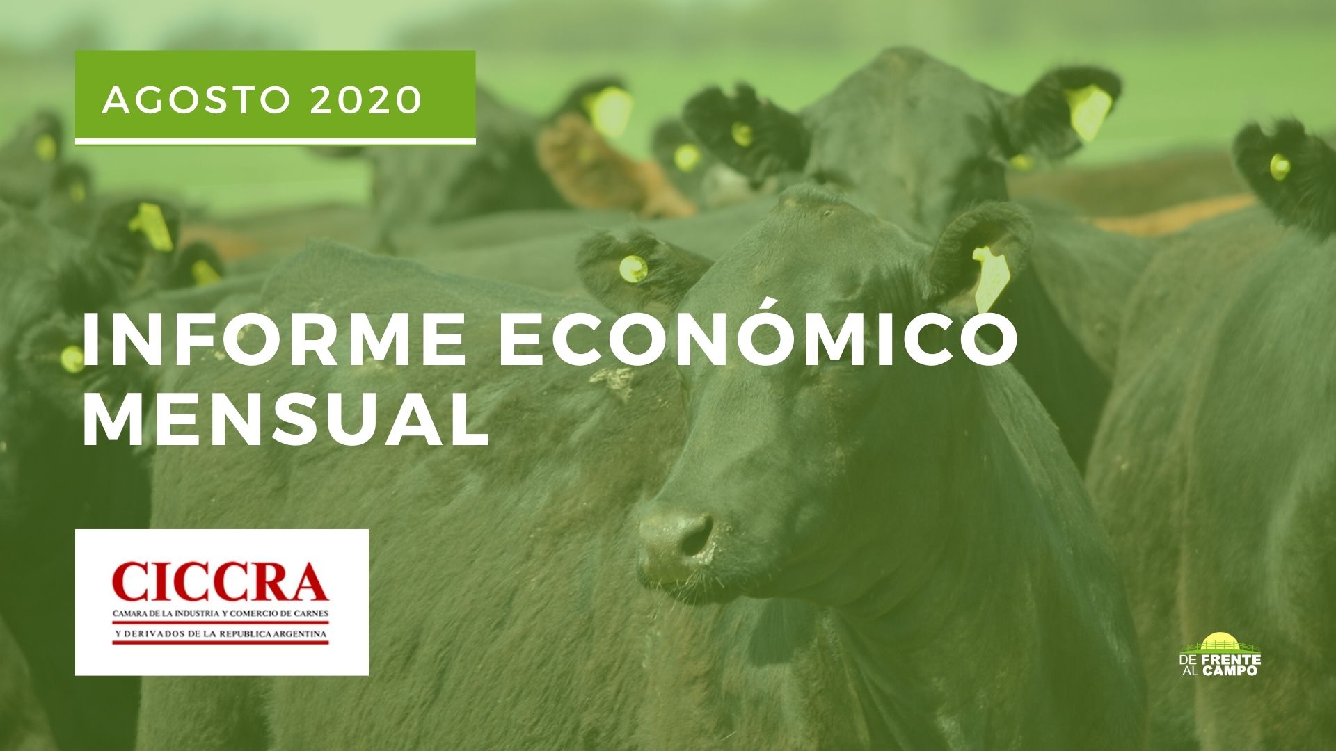 Informe económico Nro 235 Mensual de CICCRA – Agosto 2020