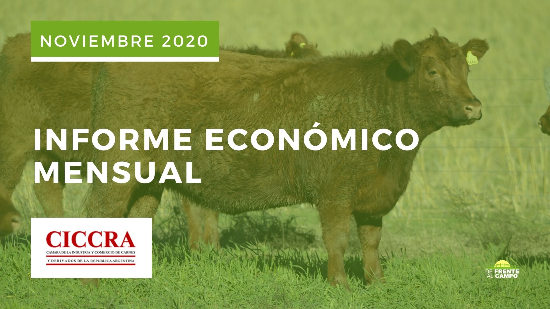 Informe económico Nro 238 Mensual de CICCRA – Noviembre 2020