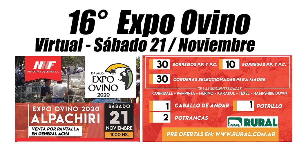 Expo Ovino 2020: Todos los ejemplares -Videos y datos productivos-.
