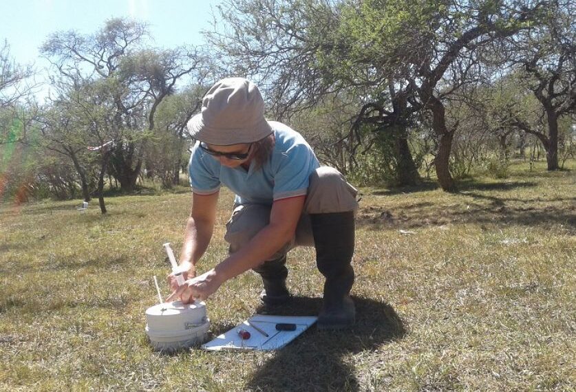 En bosques nativos, los sistemas ganaderos emiten menos óxido nitroso