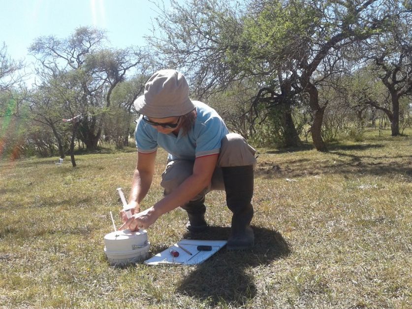 En bosques nativos, los sistemas ganaderos emiten menos óxido nitroso