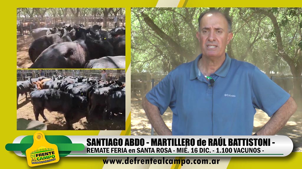 Entrevista: Santiago Abdo martillero pampeano