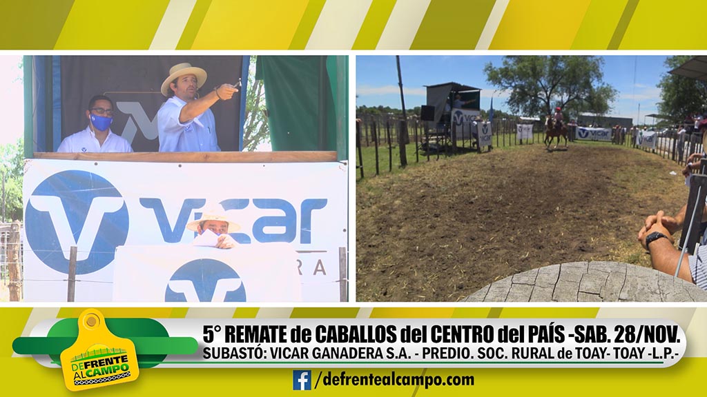 Vicar Ganadera S.A.: Remate de Caballos del Centro del País -Sáb. 28 / Nov. –