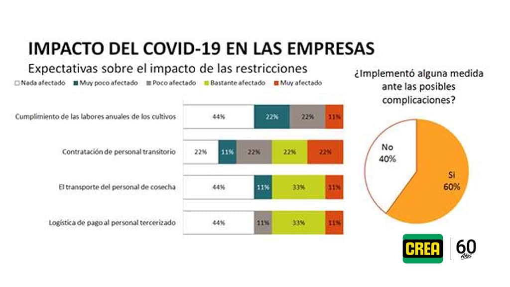 ¿Qué expectativas tienen las empresas agropecuarias cuyanas para 2021?