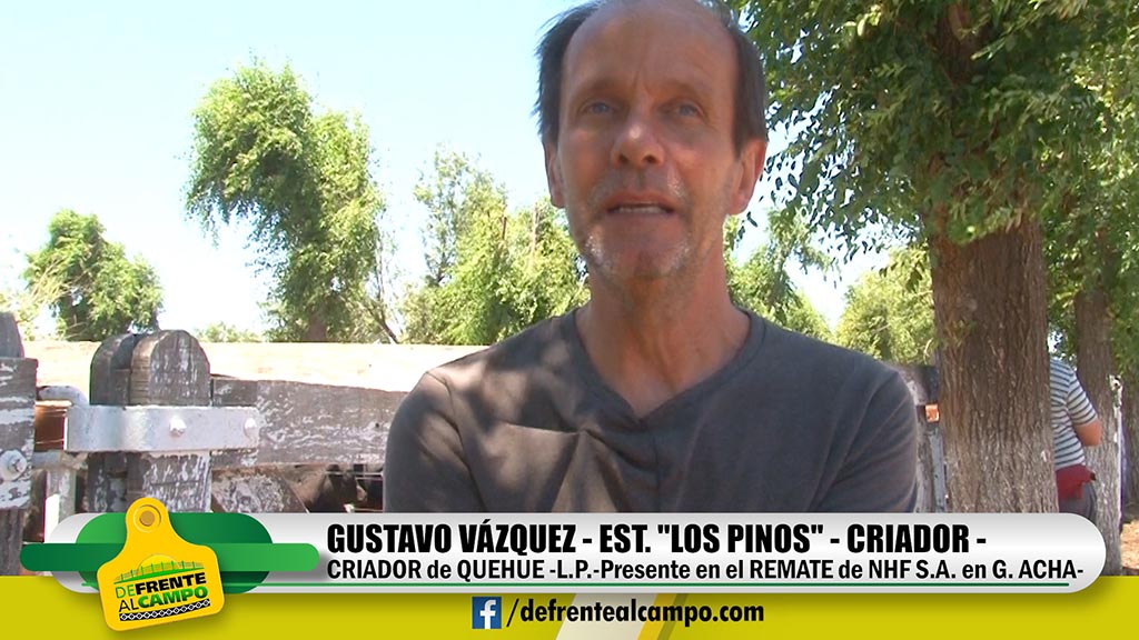 Entrevista: Gustavo Vázquez de Establecimiento Los Pinos