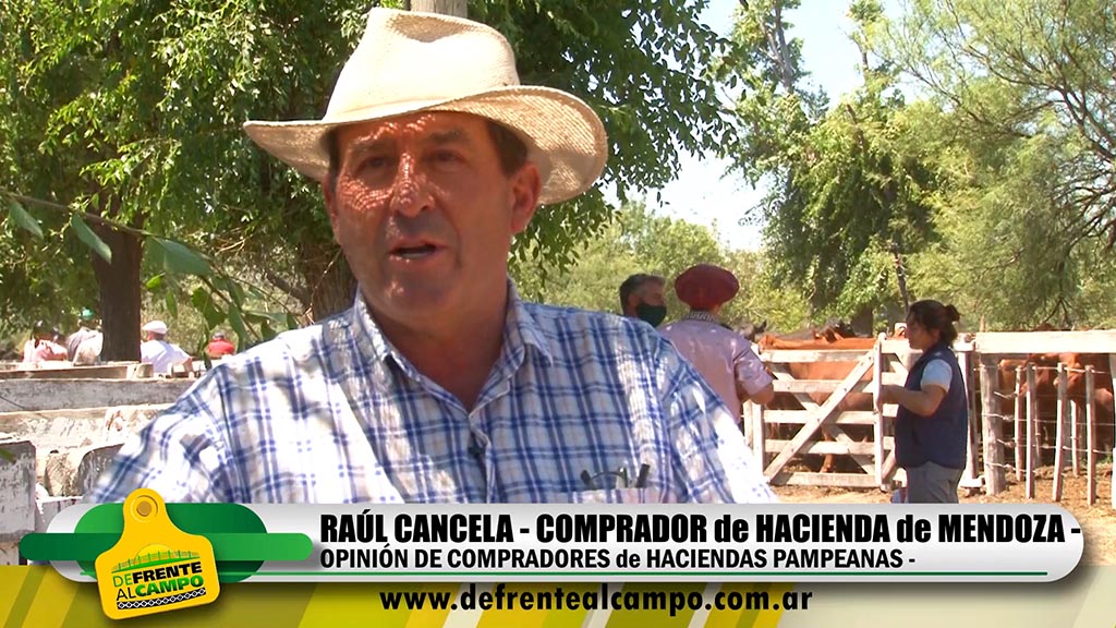 Entrevista: Raúl Cancela comprador de haciendas pampeanas