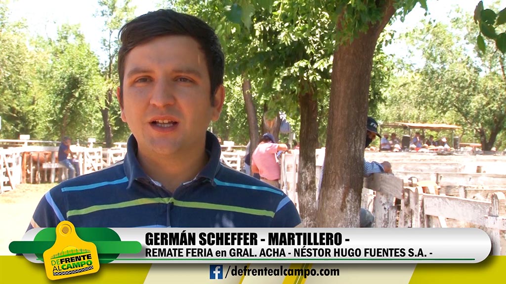 Entrevista: Germán Scheffer de Néstor Hugo Fuentes S.A.