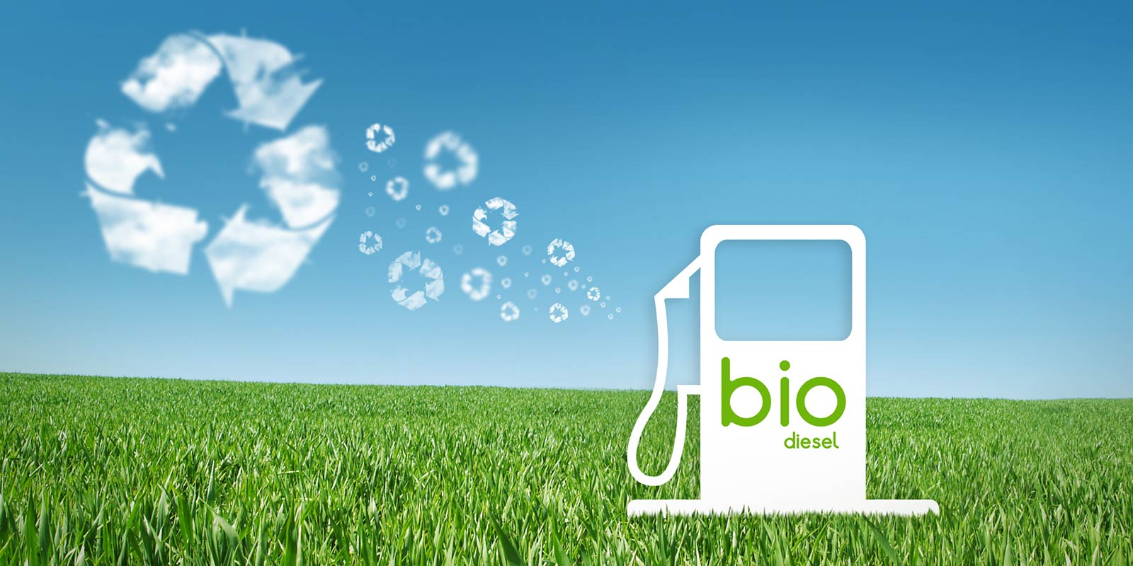 Biocombustibles: se promulgó la nueva Ley, resistida por el campo, que regirá hasta 2030