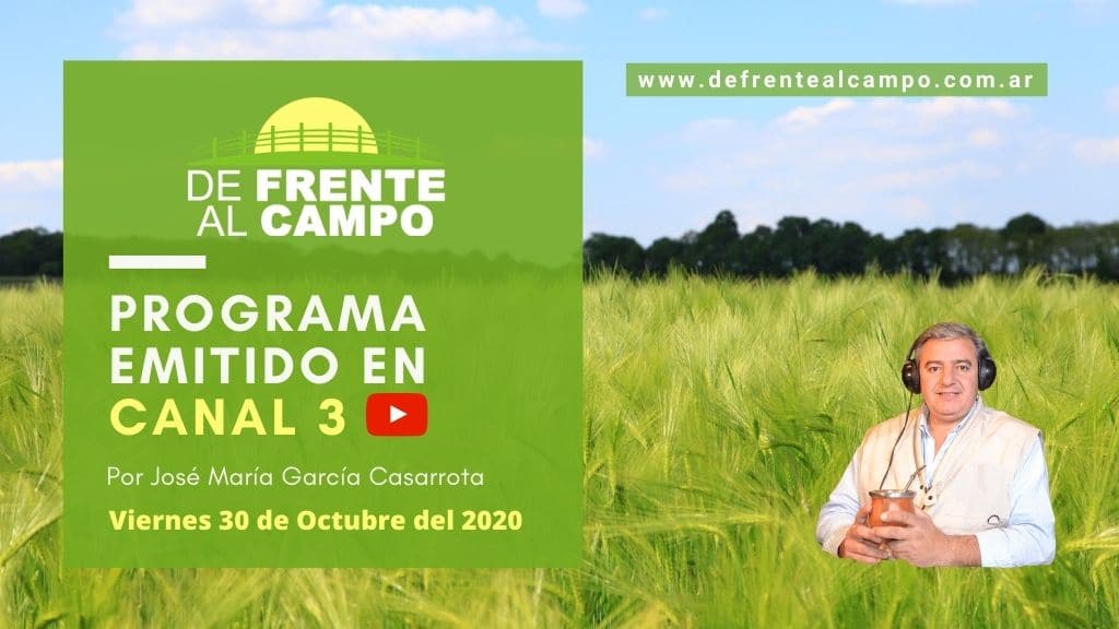 DFC en Canal 3 / Vivo: Viernes 30 / Octubre 2020