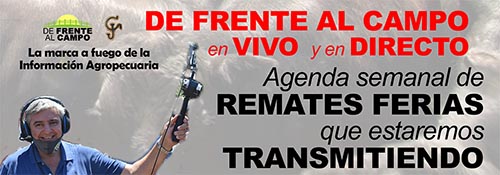 Agro Streaming DFC: Se inicia el Martillo Pampeano con transmisiones en VIVO