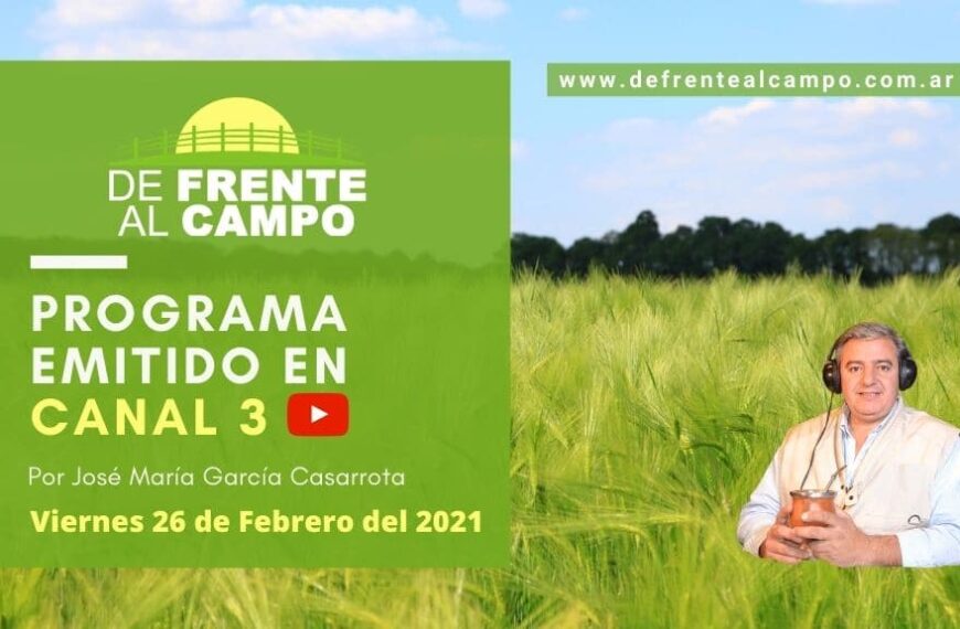 DFC en Canal 3 / Vivo: Viernes 26 / Febrero 2021