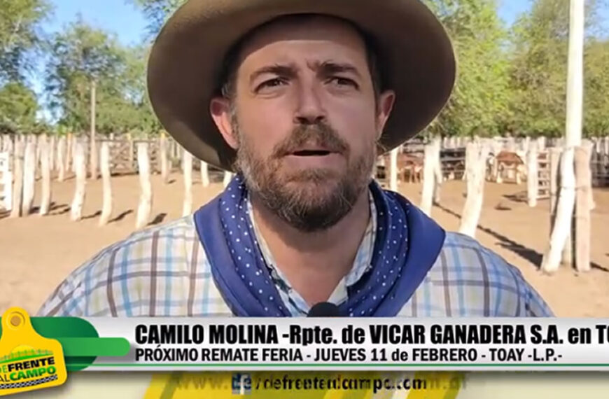 Entrevista: Camilo Molina – Rpte. de Vicar Ganadera – Próximo remate el jueves 11 de Febrero en TOAY