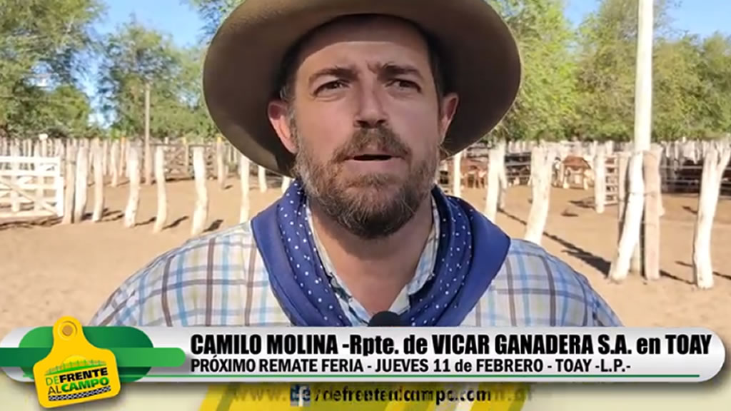 Entrevista: Camilo Molina – Rpte. de Vicar Ganadera – Próximo remate el jueves 11 de Febrero en TOAY