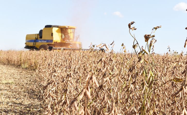 En medio del boom del precio de la soja, por qué los productores locales sólo percibirán menos del 40% de su valor