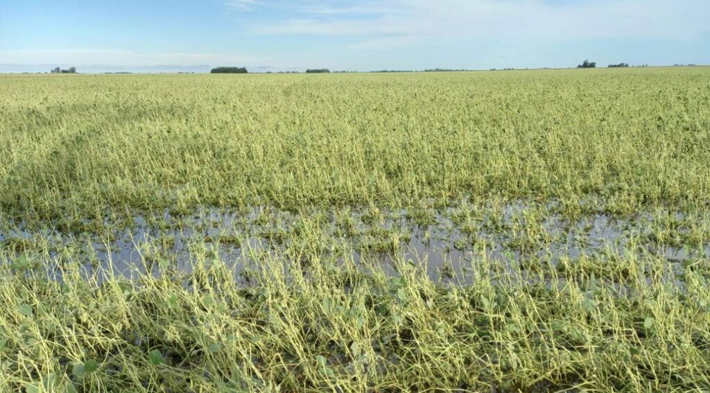 Un meteoro causó fuertes daños en el sudeste de Córdoba