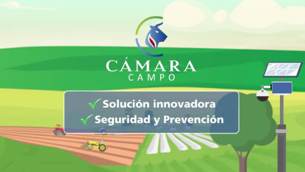 Ofrecen cámaras para el campo que funcionan sin energía eléctrica y transmiten sin internet: cuánto cuestan