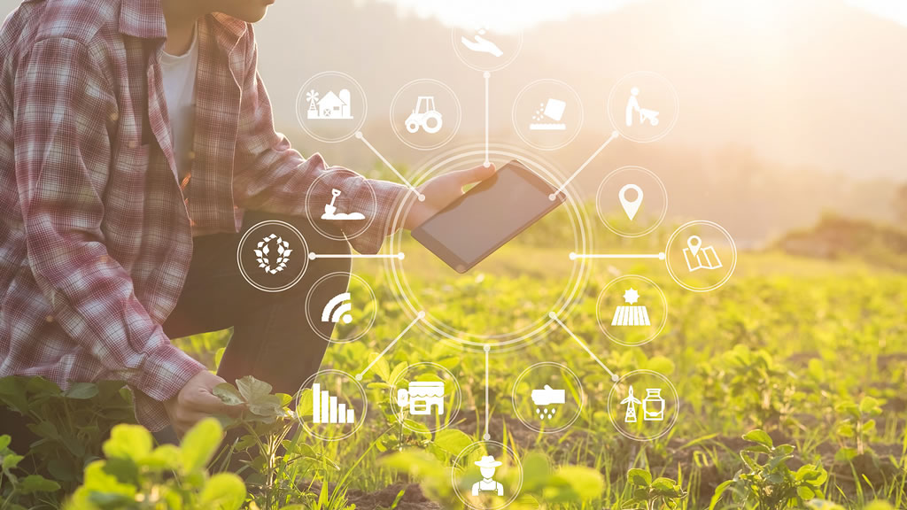 Cómo capacitar a los trabajadores del campo en tiempos de pandemia