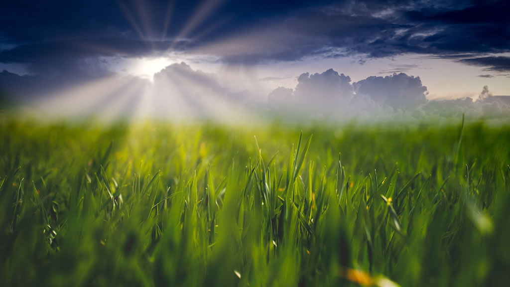 El campo argentino avanza firme hacia la agricultura regenerativa