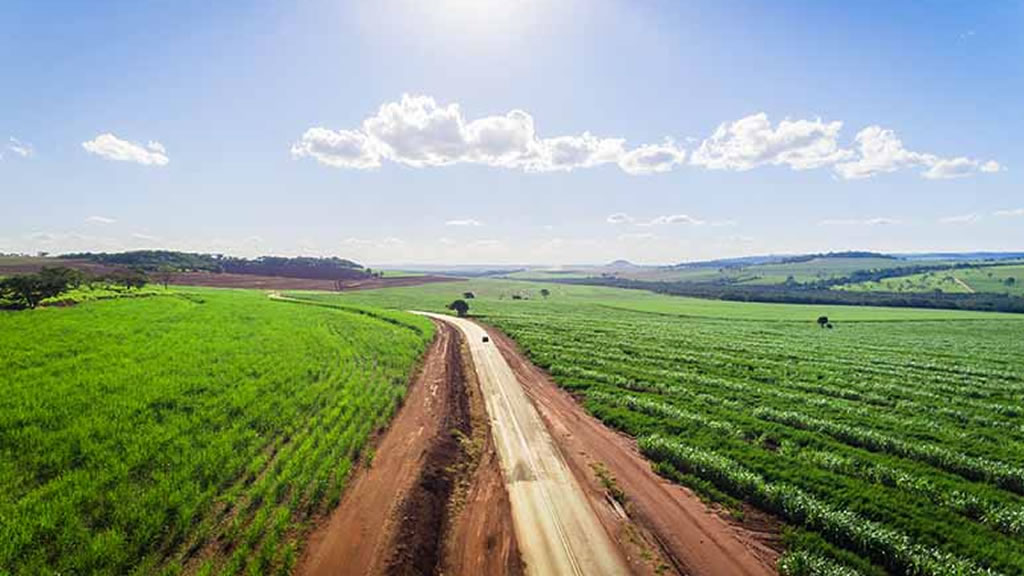 Estiman que los campos naturales siguen produciendo menos