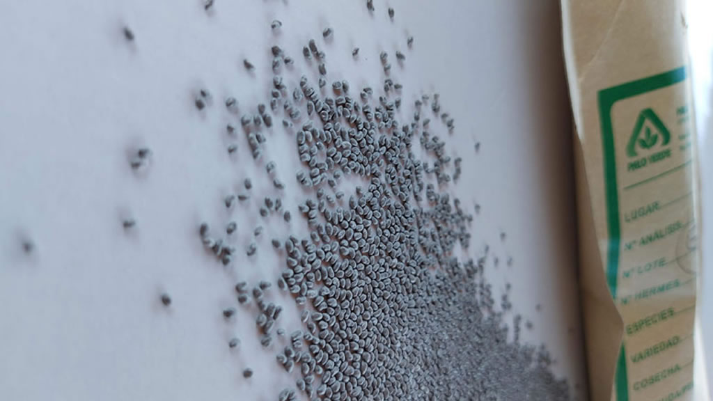 Lanzan una semilla de alfalfa con novedosa tecnología de pildorado