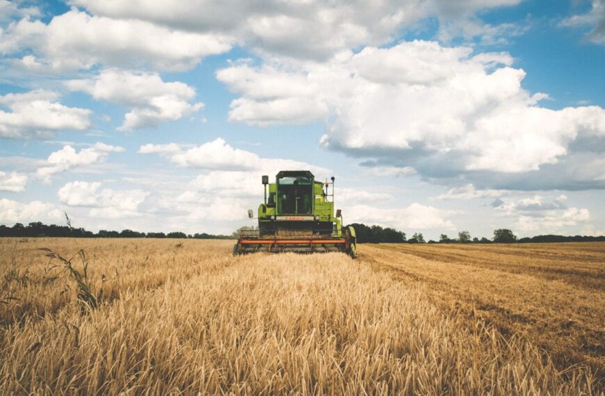 El campo generó 7 cada 10 dólares que entraron por exportaciones