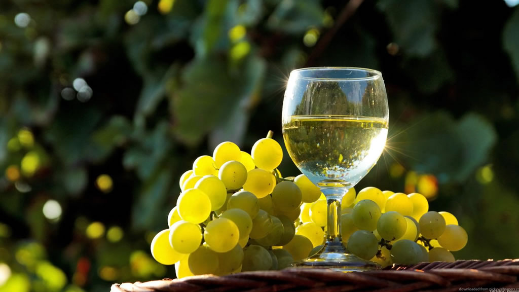 Informe del Mercado Interno de Vinos – Julio 2024: Muestra Recuperación en Ventas, con Fuerte Incremento en Vinos Blancos
