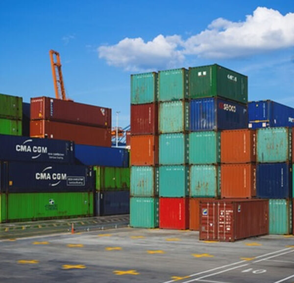 China marcó un nuevo récord de importaciones en julio: 295 mil toneladas