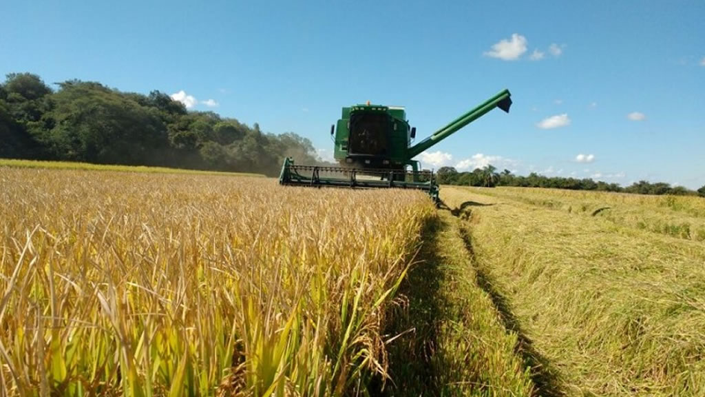 Gracias al agro se logró un superávit comercial superior a USD 1.000 millones