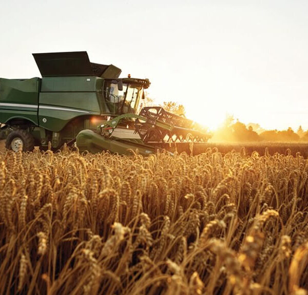 El Gobierno anunció el final del polémico fideicomiso del trigo