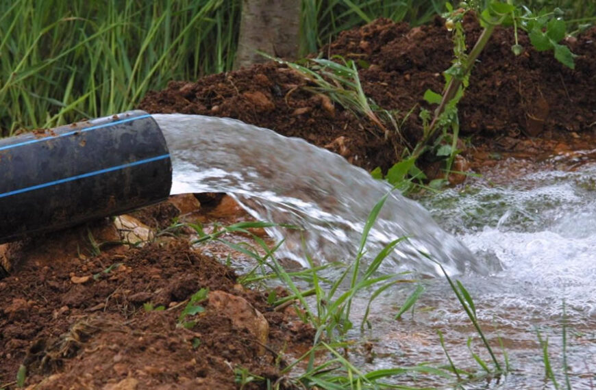 Las claves detrás de la gestión del agua en la producción agropecuaria