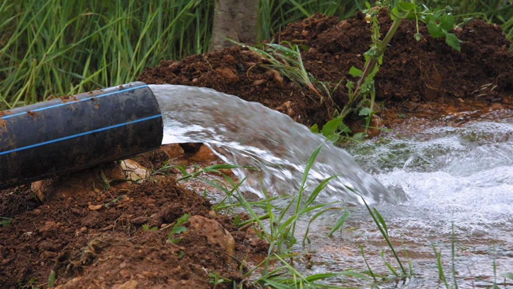 Las claves detrás de la gestión del agua en la producción agropecuaria