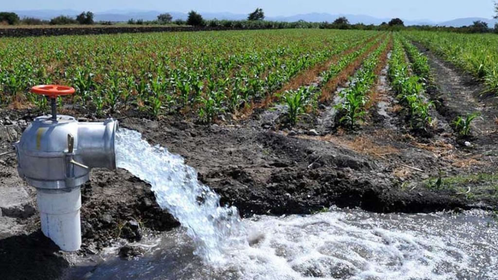 Destacan la importancia del agua subterránea y el impacto en el manejo de los sistemas productivos