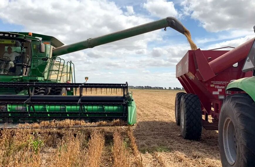 La cosecha de soja sube 300 mil toneladas gracias al buen desempeño de las siembras de segunda