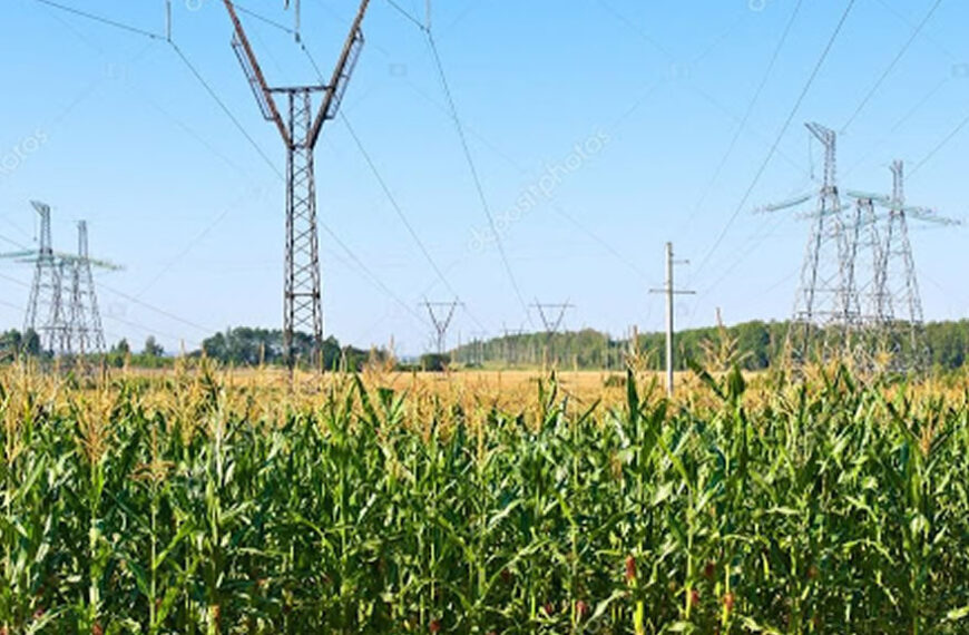 Coninagro cuestionó los aumentos en las tarifas de energía y su impacto en las economías regionales