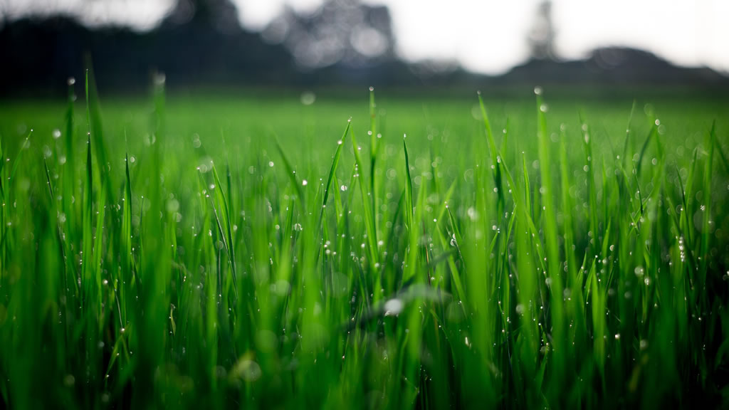 Septiembre llega con la posibilidad de lluvias