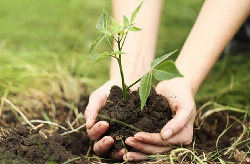 Diputados aprobó el proyecto de ley de educación ambiental: en qué consiste