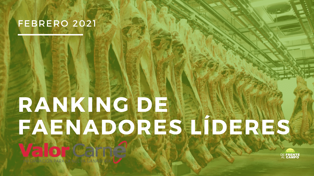 Leve baja en la participación de los líderes sobre la faena total del país