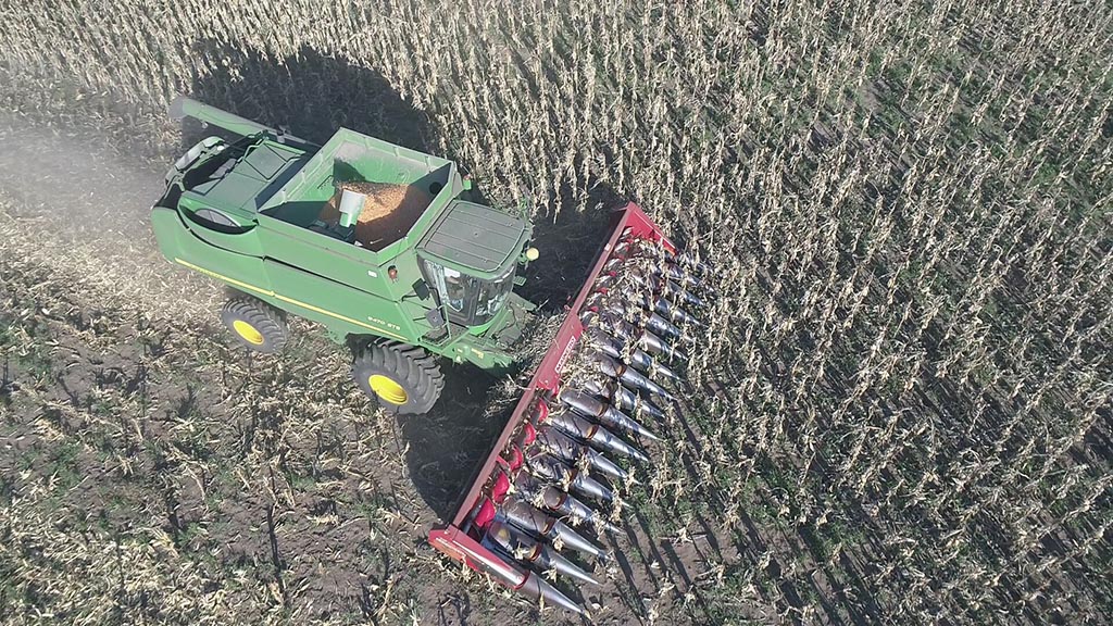 Pese a la falta de políticas para el campo, la producción de granos creció más de 500% en poco más de cinco décadas