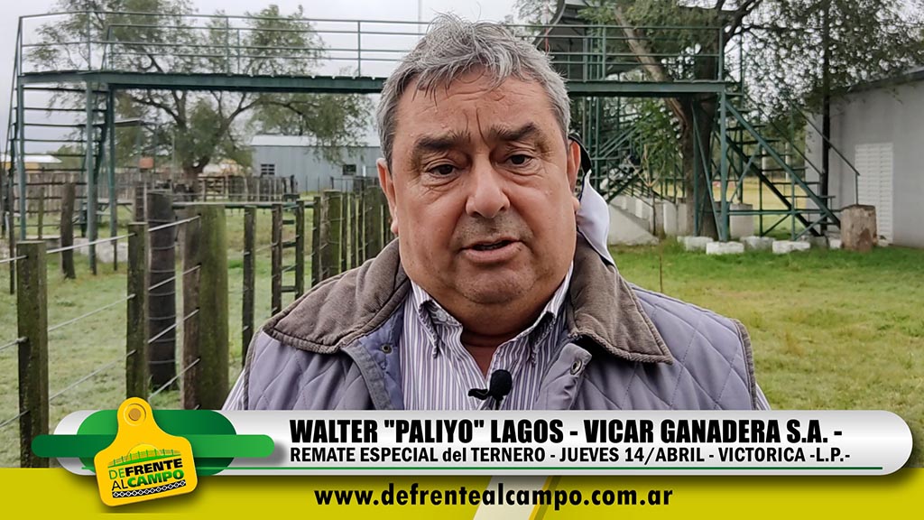 Entrevista: Walter Lagos – Vicar Ganadera S.A.