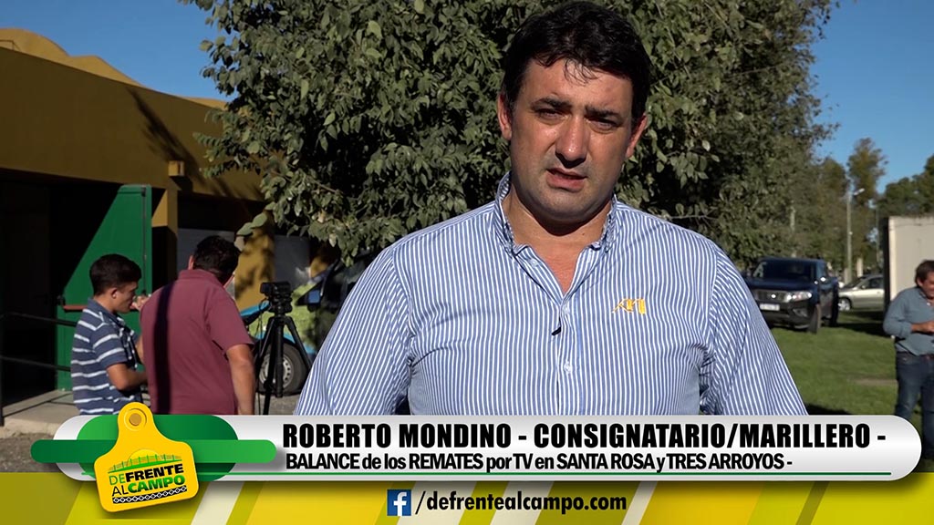 Entrevista: Roberto Mondino -Martillos Televisados-