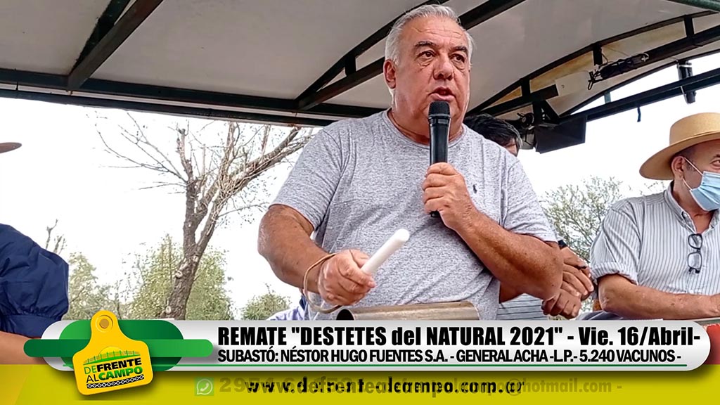 Destetes del Natural: Premios a Criadores