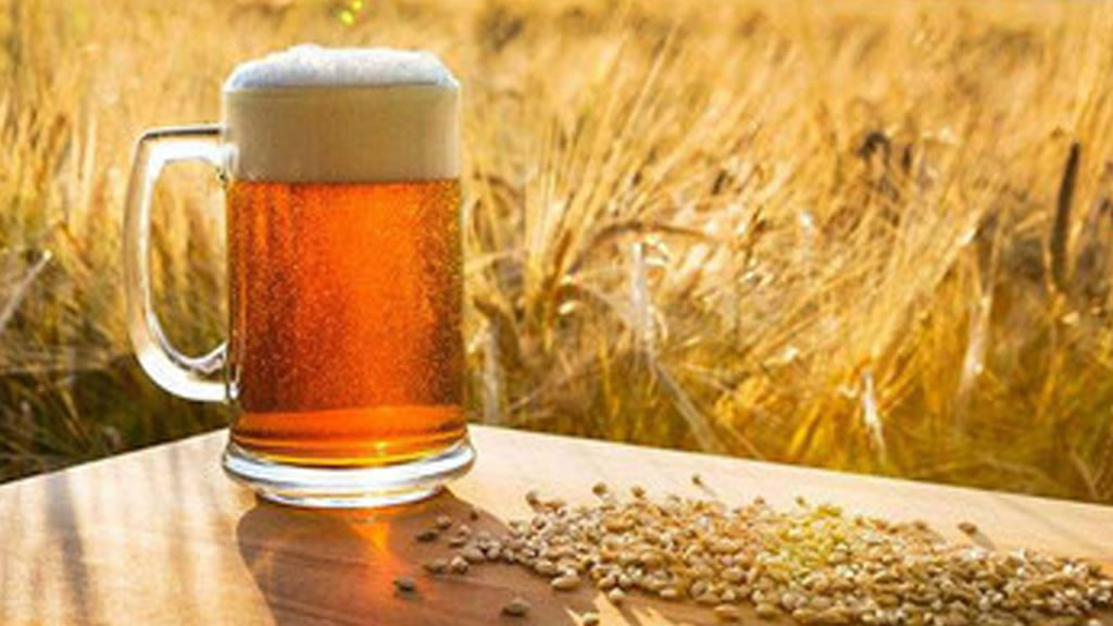 La súper cosecha de cebada que se está levantando en el sudeste bonaerense comenzó a pasarle factura a los precios de la variedad cervecera