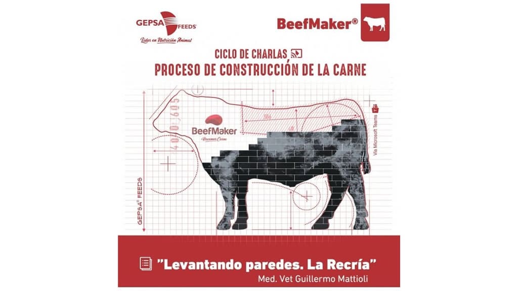 Del corral al mostrador, Aníbal Pordomingo hace el “cierre de obra” del proceso de construcción de la carne