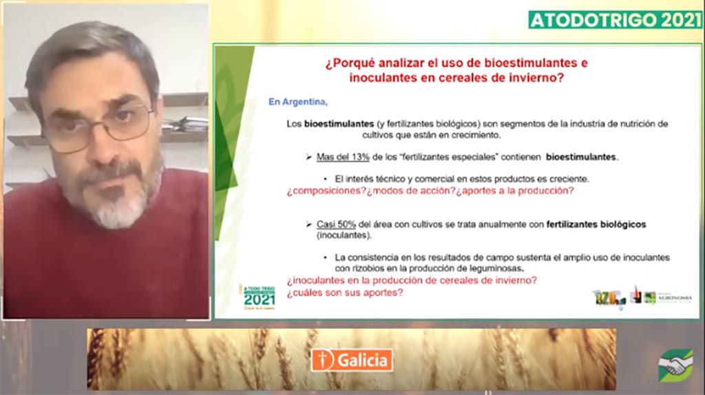 A TODO TRIGO – Novedades en nutrición para potenciar los cultivos