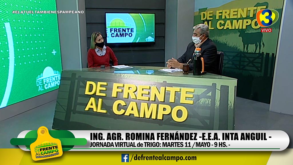 Entrevista: Romina Fernández – Jornada sobre Trigo-