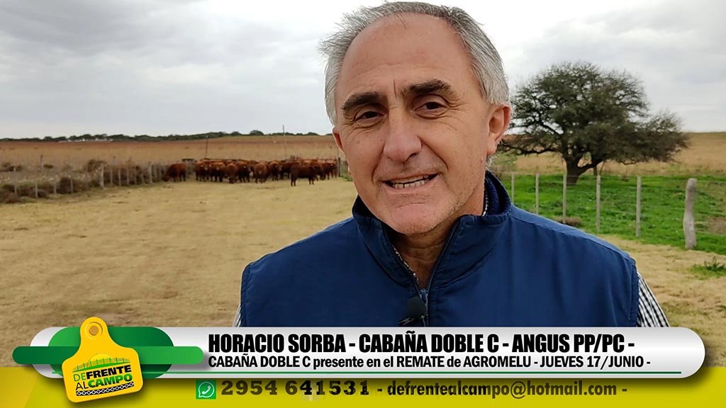 Entrevista: Horacio Sorba de Cabaña «Doble C»